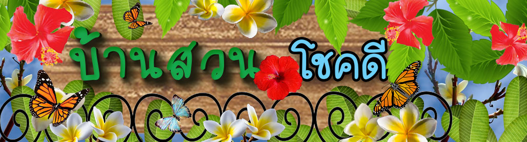 topbanner