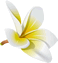 gtyui1